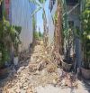 🏡 HÀNG HÒA XUÂN KHU A, B – NGÀY 26/10/2025  🍀 Đất nền: • Cao Bá Đạt – Hướng Bắc – 100m²: