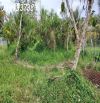 Cần bán đất vườn tại xã Long Hưng, Châu Thành, Tiền Giang, DT 500m2, giá đầu tư