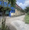 CHO THUÊ KHO 8000M2 GẦN CẦU VÀM CỐNG