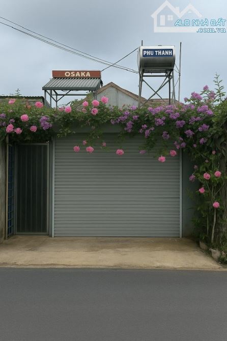 ✨🏡 CẦN BÁN NHÀ CẤP 4 HẺM XE TẢI 7M – ĐƯỜNG HỒ XUÂN HƯƠNG, P.12, ĐÀ LẠT 🏡✨