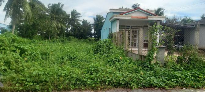 Đất mặt tiền nhựa cập hông Ngọc Trong đá, thuộc Lương Hòa A