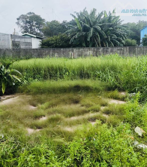 Bán Đất Tân Hiệp Hóc Môn - 82M2(5 x 19m )- Đường4m- Gần Mặt Tiền - Chỉ 2,68 Tỷ - 2