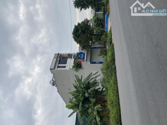 BÁN gấp lô đất trục chính kinh doanh tỉnh lộ 305 Duy Phiên Tam Dương 100m mt5m 4,1 tỷ - 2