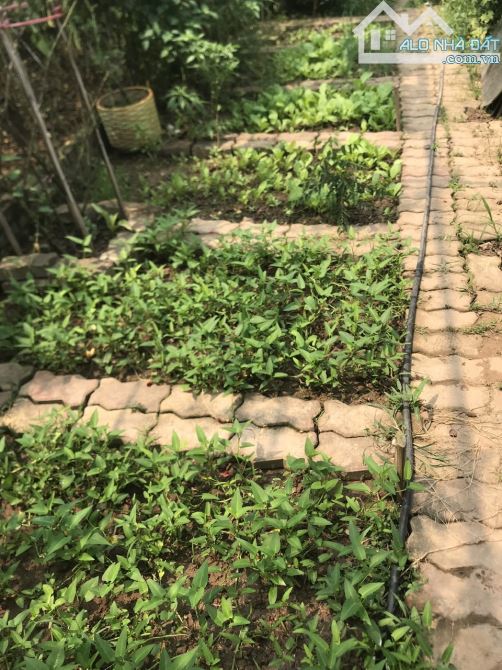 Chính chủ bán nhà vườn kiên cố, rất đẹp 60m2 trên 400m2, điện nước, điều hòa, phố Âu Cơ