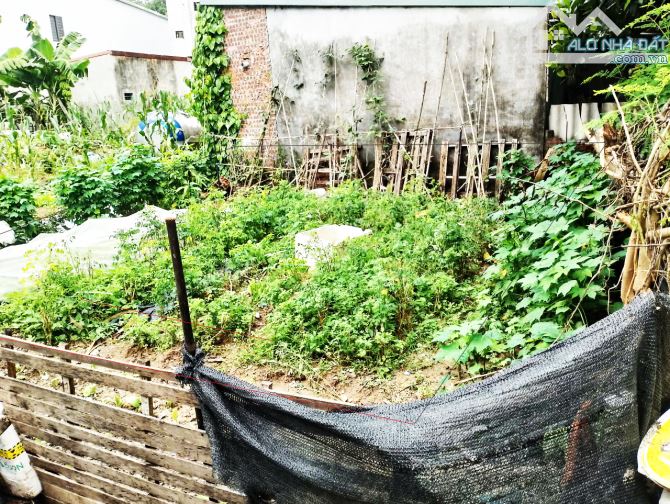 CHÍNH CHỦ BÁN LÔ ĐẤT 44M2, MT 7M TẠI THÔN NHUẾ, GẦN CAO TỐC VÕ VĂN KIỆT, GIÁ CÓ TL