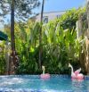 🔥 VILLA MINI GÓC 2 MT PHONG CÁCH TROPICAL – HỒ BƠI RIÊNG – DÒNG TIỀN 80TR/THÁNG