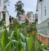 ✨🏡 CẦN BÁN ĐẤT HẺM XE HƠI – ĐƯỜNG LÊ THỊ RIÊNG, P.07, ĐÀ LẠT 🏡✨