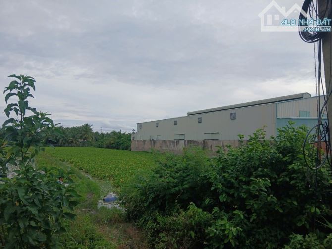 Bán 4.300 m2 đất CLN mặt tiền đuờng Quốc Lộ 1A,Nhị Quý TX Cai Lậy,TG