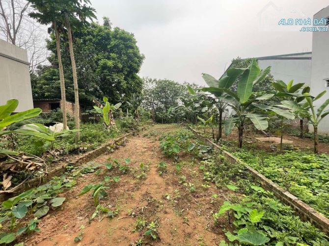 🏠CỰC ĐẸP THANH AM LB, DT74M2, MT5.6M, ÔTÔ ĐỖ CỬA,THÔNG NGÕ, VỈA HÈ, KINH DOANH, 16.X TỶ