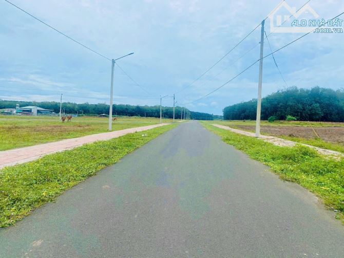 KẸT TIỀN BÁN GẤP 1LÔ ĐẤT CHƠN THÀNH