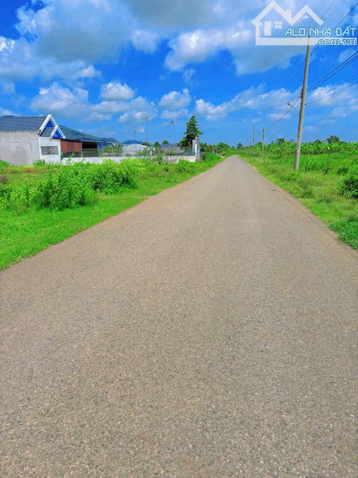 BÁN GẤP LÔ ĐẤT 184M² – KDC HÒA LONG, NGỘP NGÂN HÀNG – GIÁ RẺ BẰNG NỬA THỊ TRƯỜNG