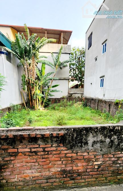 ĐẤT XUÂN ĐỈNH – NGÕ TRẢI NHỰA, Ô TÔ ĐỖ CỬA