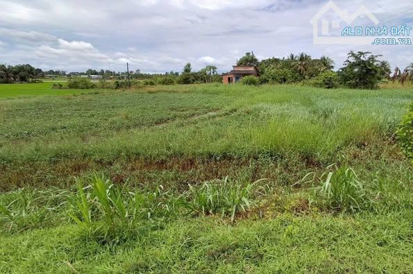 CCG SANG NHƯỢNG NHANH LÔ ĐẤT THỔ VƯỜN  TRẢNG BÀNG 202m2 NGAY QL.22