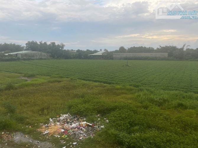 13,5 tỷ 💢 ĐẤT LỚN Lộc Giang Đức Hòa  ( An Ninh TN ) 👉 1 ( hơn 1,8 ha