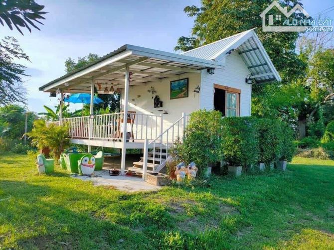 Tôi Chính Chủ Cần Ra Gấp Miếng Đất Vườn View Kênh Ngay Chợ Cũ Trảng Bàng DT 325m2 Giá 700T