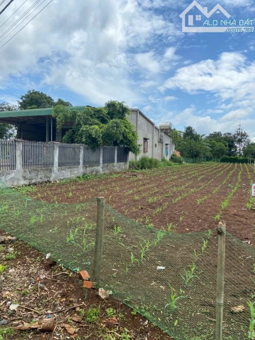 đất mặt tiền đường nhựa 10m ( Bích Hoạ ) đường Liên Tỉnh thuộc Buôn Tăng Ju phường Eakao
