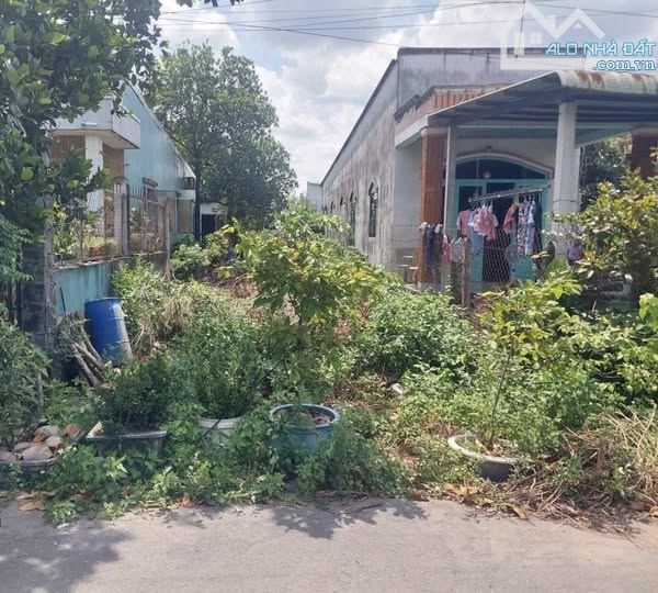 ĐẤT TÂN PHÚ TRUNG NGỘP CCG RA GẤP