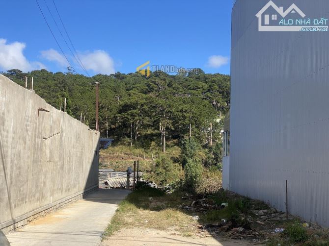 BÁN ĐẤT 3 MẶT THOÁNG 100m2 PHƯỜNG XUÂN HƯƠNG, ĐÀ LẠT - VIEW RỪNG THÔNG - 2