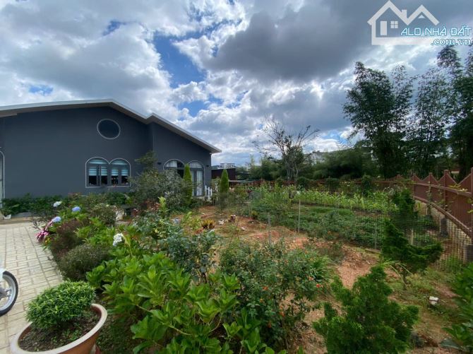 ✨🏡✨ Cần bán Nhà Cấp 4 Hẻm xe hơi (4m), đường An Bình, P.03 cũ, Đà Lạt