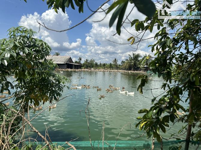 CHÍNH CHỦ CẦN BÁN GẤP ĐẤT MẶT TIỀN ĐƯỜNG NGUYỄN KIM CÔNG GIÁ 7.1 TỶ, TP. TÂN AN