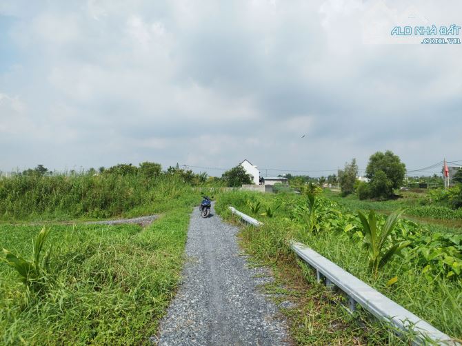 1000m2 đất trồng cây mặt tiền xã Bình Mỹ giá chỉ 2.5 tỷ