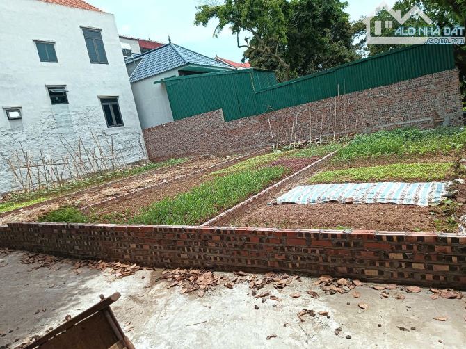 🔥 Hàng F0 trung tâm Thị trấn Phúc Thọ – hơn 50m² chỉ 2 tỷ! 🔥