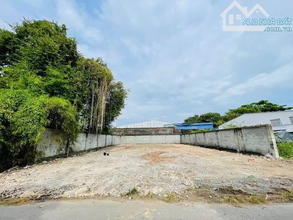 Chỉ Với 1 tỷ 620tr sở hữu ngay lô đất dt : 480m2 tại Tân Thông Hội, Củ Chi