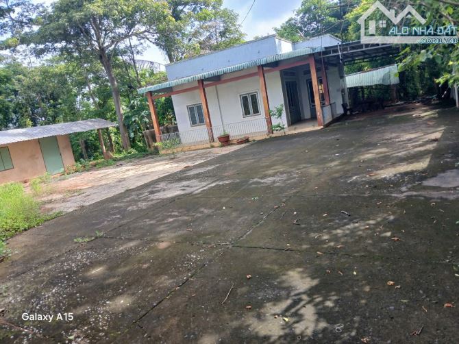 CẦN BÁN 7500m2 PHỦ HỒNG NGUYÊN NHÀ VƯỜN TRÁI CÂY SẴN GIÁ RẺ CHỈ 3tỷ CÁCH BIỂN 20km.