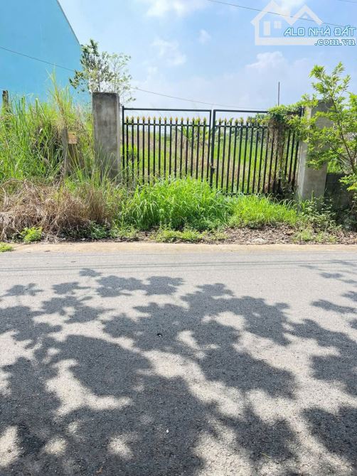CHÍNH CHỦ CẦN THU HỒI VỐN 212m2 ĐẤT,Đ TRẦN VĂN CHẨM XÃ TÂN THÔNG HỘI ,CỦ CHI,GIÁ RẺ 1,1 TỶ