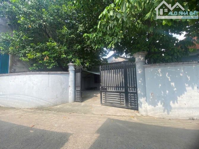 Bán Nhà dt 10 x 17m Sổ Riêng, Giá 3,2 tỷ Kp5 Nguyễn Phúc Chu, Trảng Dài, Biên Hòa