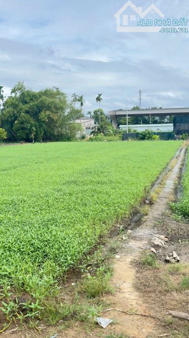 "Đất gần Ub xã Bình Mỹ - Củ Chi