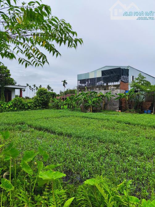 "Đất gần Uỷ ban xã Bình Mỹ củ