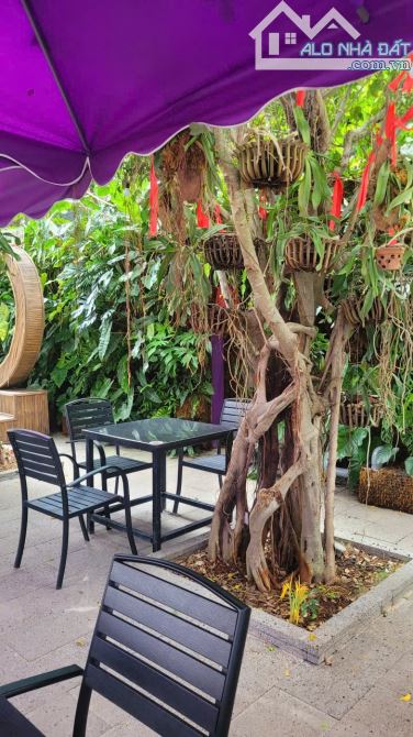 CHO THUÊ 720m2 QUÁN CF VIEW BIỂN OCEAN DUNES, PHÚ THỦY, PHAN THIẾT - 10