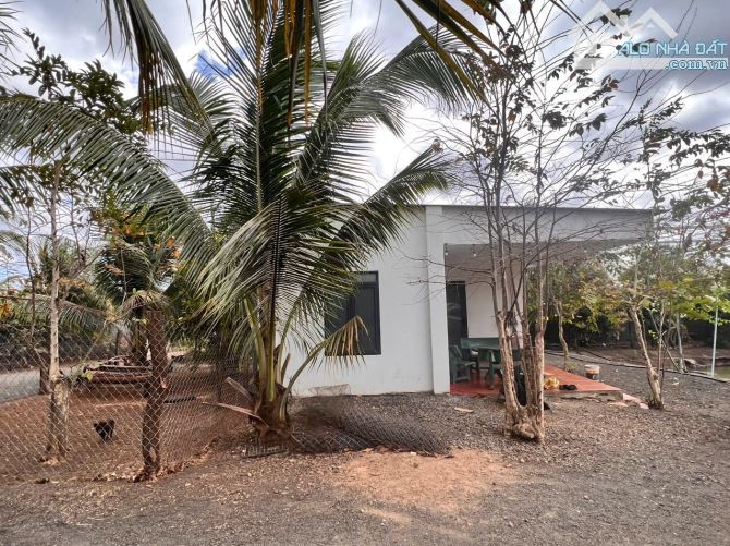CHÍNH CHỦ BÁN NHÀ VƯỜN 5300M², GẦN TRUNG TÂM TP BUÔN MA THUỘT - 11