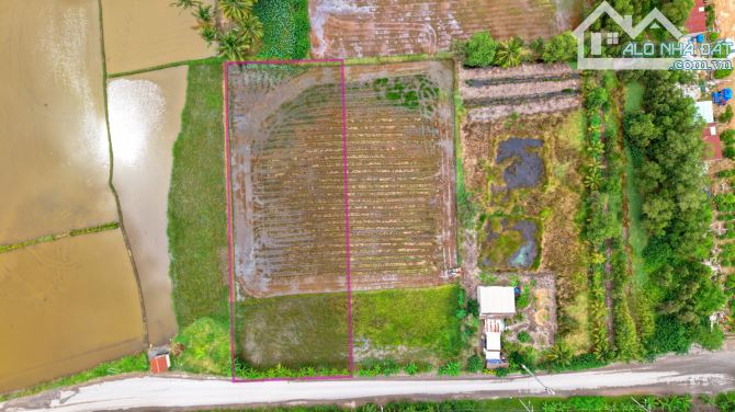 án lô đất ngang 27.9m, cách siêu dự án Swanbay - Bán Đảo tự nhiên, biệt lập - 1