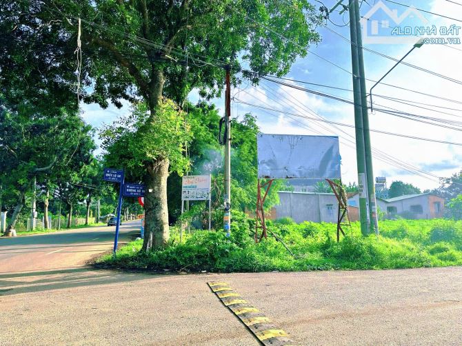 BÁN GẤP LÔ ĐẤT 184M² – KDC HÒA LONG, NGỘP NGÂN HÀNG – GIÁ RẺ BẰNG NỬA THỊ TRƯỜNG - 1