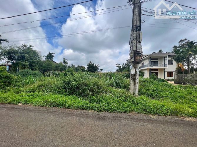 🅿️❇️Đất đường D5, Eatu, Kotam, km12, phường Tân An, Quốc Lộ 26, 950 triệu, 6x26.5m❇️ - 1
