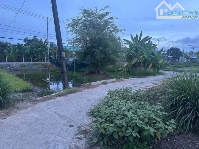 Bán đất giá rẻ thổ cư 2300m2 xã Hưng Long QH dân cư - 1
