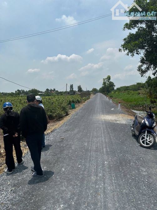 Bán đất vườn 20.178m2 Kênh 4, Bình Lợi, Bình Chánh, giá rẻ 2,1 triệu/m2 - 1