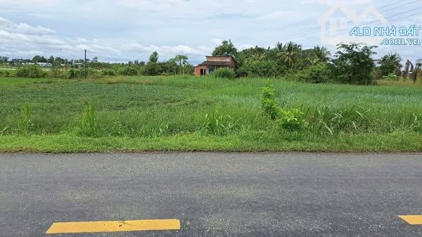 CCG SANG NHƯỢNG NHANH LÔ ĐẤT THỔ VƯỜN  TRẢNG BÀNG 202m2 NGAY QL.22 - 1