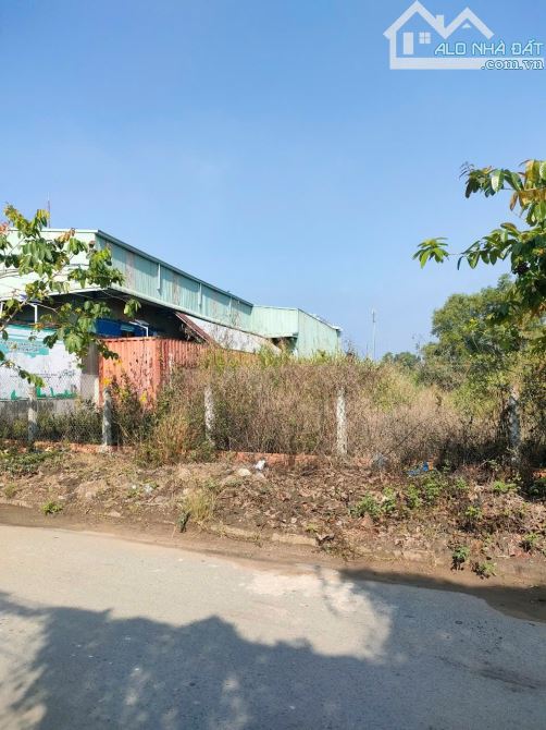 BÁN ĐẤT QH dân cư 1500m2 đường 7 Tấn xã An Phú Tây - 1