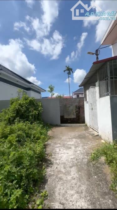 55 m² ngang 4,5 M tại Tràng Duệ Lê Lợi 2 mặt ngõ trước sau giá chỉ hơn 800   mua đầu tư lâ - 1