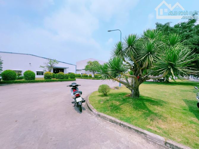 Cho thuê nhà xưởng sản xuất 2000m2 trong kcn Nhơn Trạch Đồng Nai giá rẻ - 1