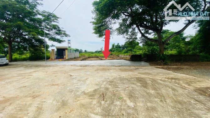 Tài chính chưa đến 4 tỷ có ngay 60m trục chính đường trước đất 20 m - 1