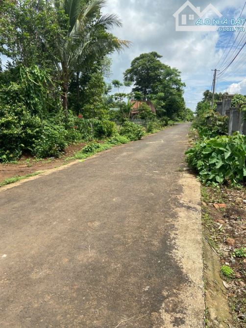 đất mặt tiền đường nhựa 10m ( Bích Hoạ ) đường Liên Tỉnh thuộc Buôn Tăng Ju phường Eakao - 1