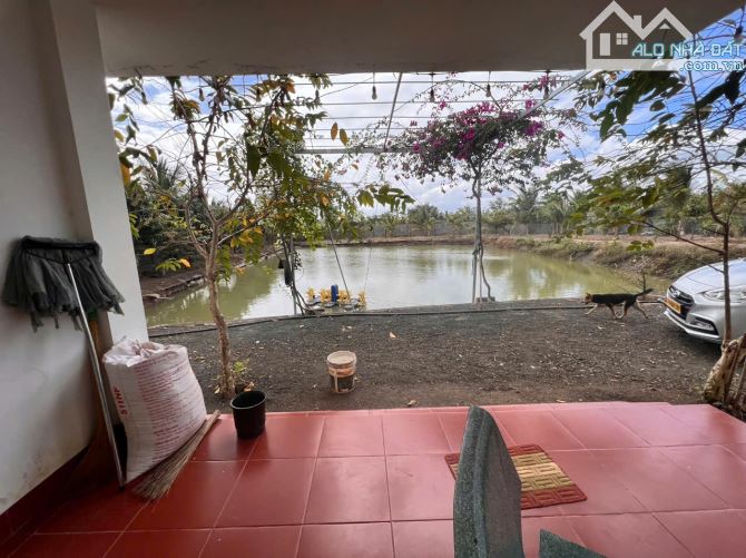 CHÍNH CHỦ BÁN NHÀ VƯỜN 5300M², GẦN TRUNG TÂM TP BUÔN MA THUỘT - 1