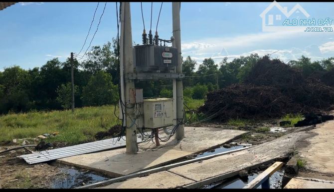 Bán nhà xưởng 28 hecta tại Xuân Lộc Đồng Nai giá rẻ có sẵn 5,6 hecta đất SKC - 1