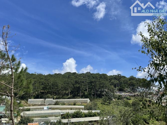 BÁN ĐẤT 3 MẶT THOÁNG 100m2 PHƯỜNG XUÂN HƯƠNG, ĐÀ LẠT - VIEW RỪNG THÔNG - 1