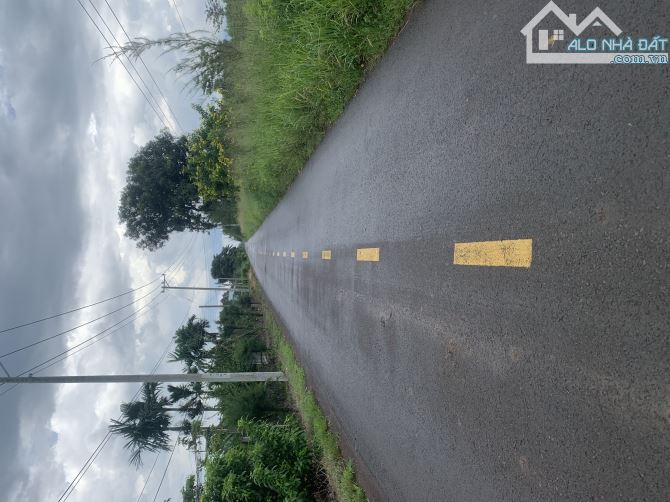 bán đất xã ( xuân tây cũ ) xuân đông.tỉnh đồng nai - 1