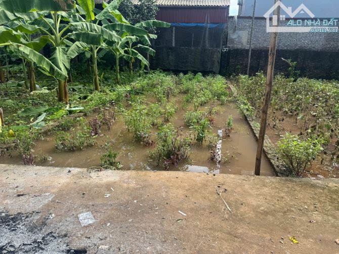 🏡 Bán gấp 58,8m² Trung Châu – ô tô vào tận nơi, giá chỉ 2.x tỷ 🏡 - 1